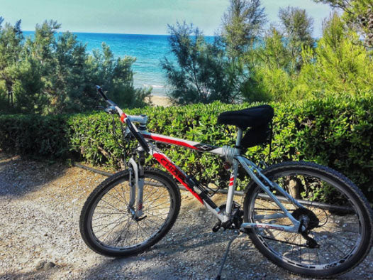 Chiappini Sport Bike