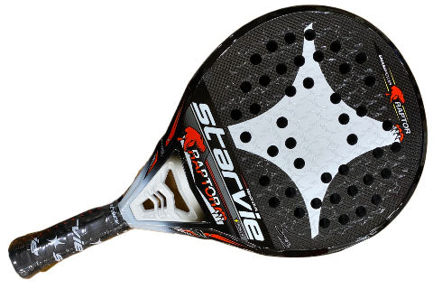 Starvie Raptor21 365